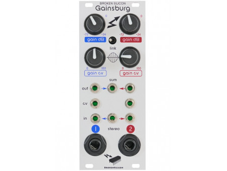 BROKEN SILICON GAINSBURG